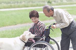大林町で信頼できる内科医を見つけるための完全ガイド