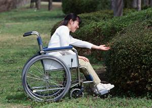 【2026年最新版】香椎の歯医者選びに迷ったらこれ！信頼できる歯科医院トップガイド